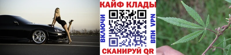 Виды наркоты Закаменск kraken как войти  Меф  Гашиш  Канабис  Альфа ПВП 